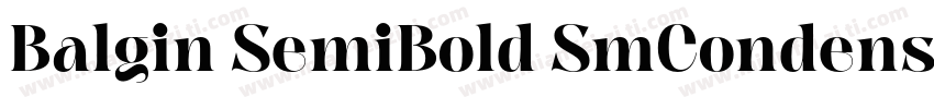 Balgin SemiBold SmCondensed字体转换